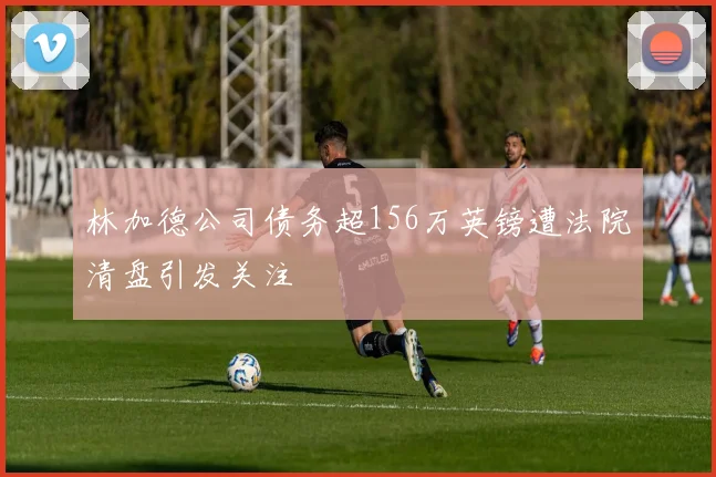 林加德公司债务超156万英镑遭法院清盘引发关注