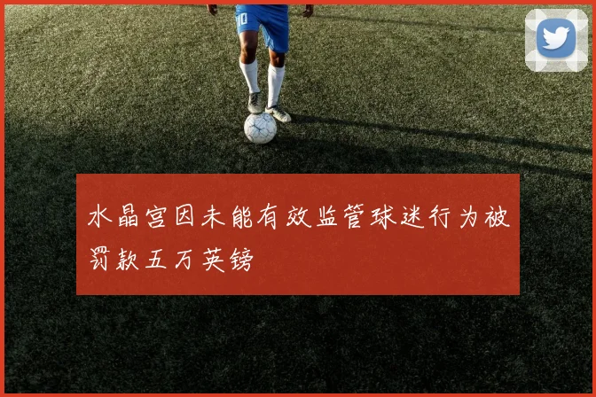 水晶宫因未能有效监管球迷行为被罚款五万英镑